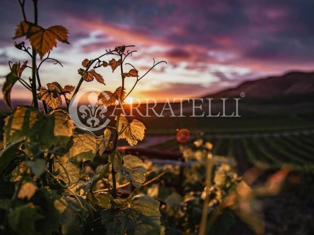 Esclusivo casale in vendita Montalcino, Toscana