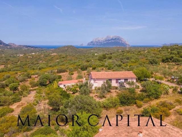 Esclusiva villa di 250 mq in vendita Murta Maria, Sardegna