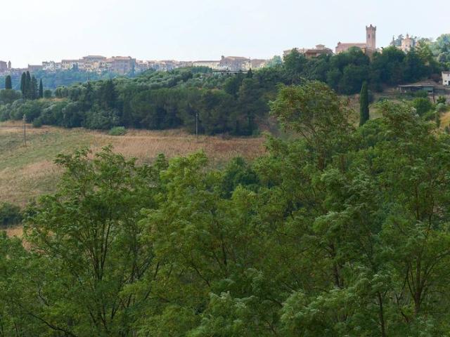 Esclusiva villa di 350 mq in vendita San Miniato, Toscana