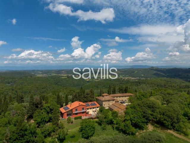 Esclusiva villa di 700 mq in vendita Via Collegalli, Montaione, Firenze, Toscana