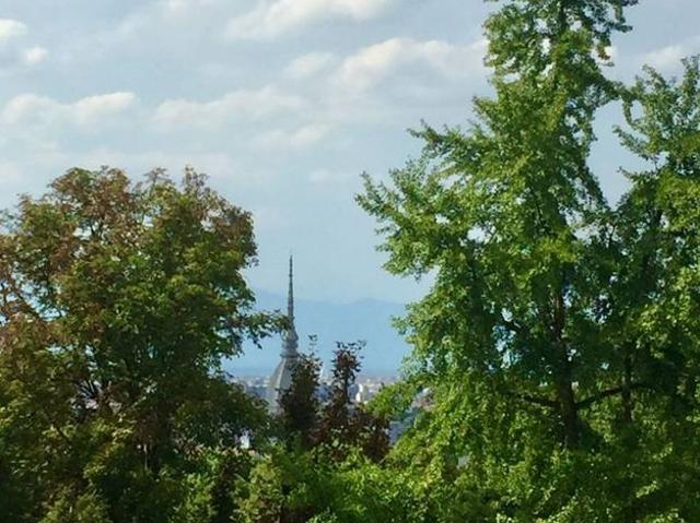 Esclusiva villa di 750 mq in vendita Strada Val San Martino Superiore, Torino, Provincia di Torino, Piemonte