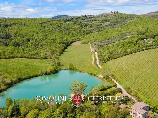 Esclusiva villa in vendita Bucine, Toscana