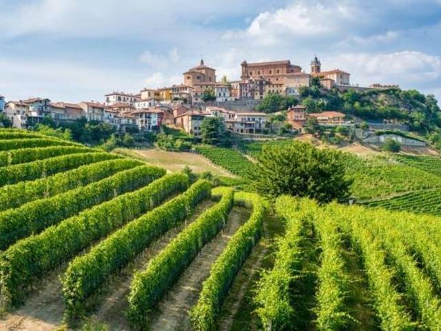 Esclusiva villa in vendita La Morra, Italia
