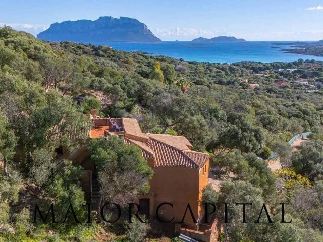 Esclusiva villa in vendita Olbia, Sardegna