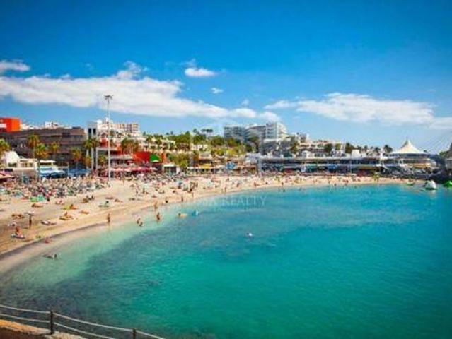 Escritorios Adeje Tenerife LS95987867