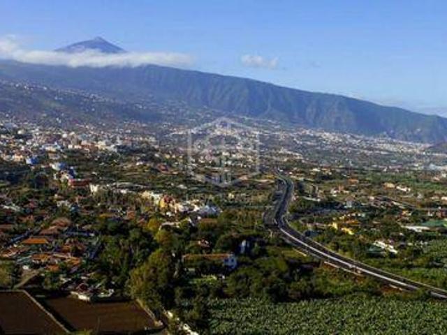 Escritorios Puerto De La Cruz Tenerife 88414279