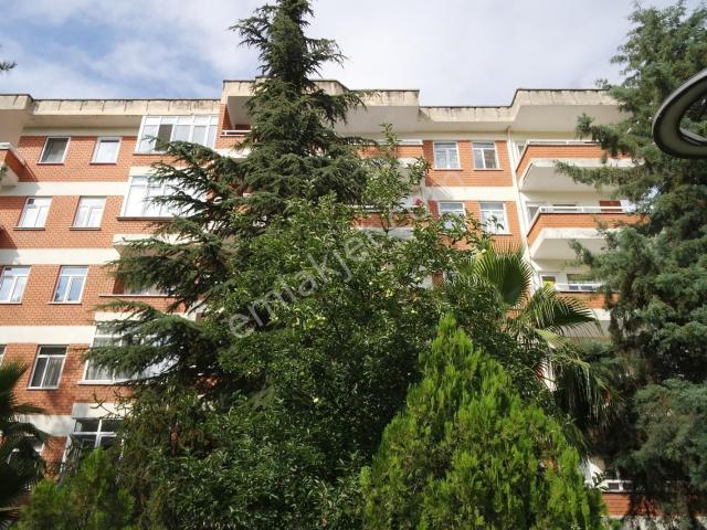 Esen'den İçi Yenilenmiş Site İçi Arakat Kiralık Daire