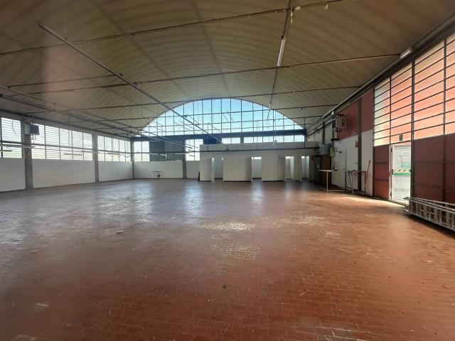 Esercizio commerciale in affitto a Capannori