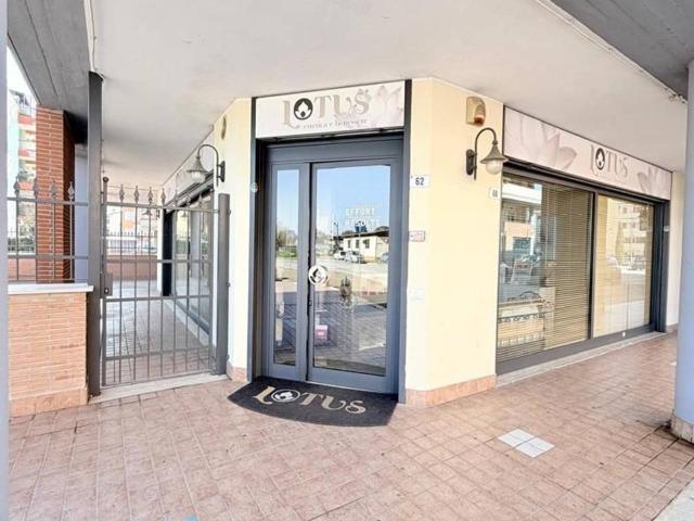 Esercizio commerciale in vendita a Aprilia