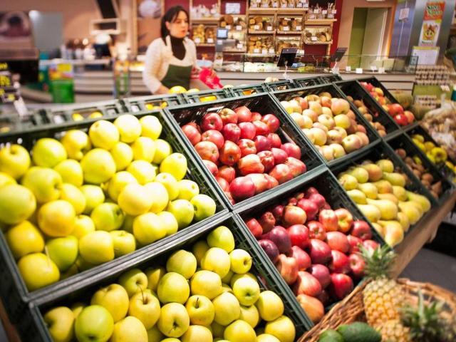 Esercizio commerciale in vendita a Palaia