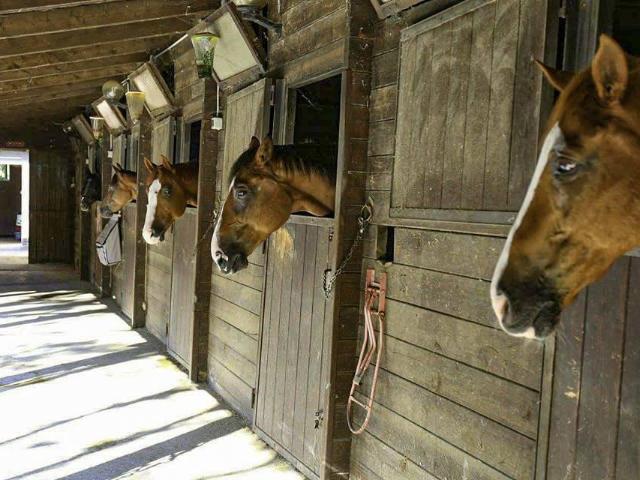 Esercizio commerciale in vendita a Pesaro