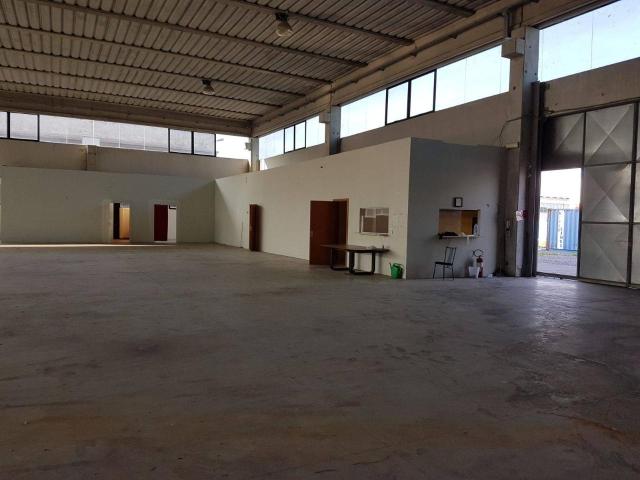 Esercizio commerciale in vendita a Pisa