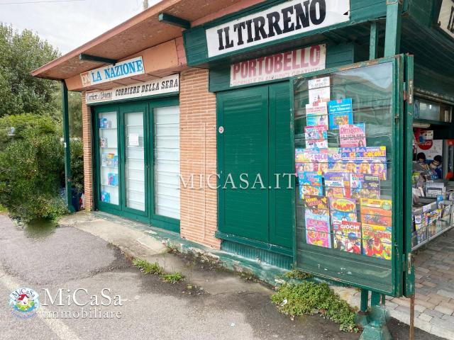 Esercizio commerciale in vendita a Pisa