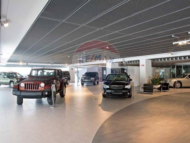 Esercizio commerciale in vendita a Rovigo