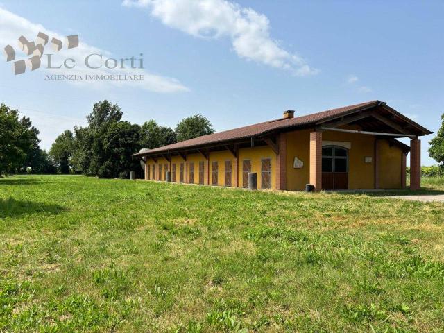 Esercizio commerciale in vendita a San Bonifacio