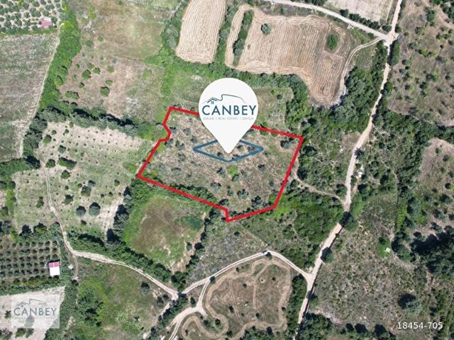 ESKİ DATÇA, İSKELE, REŞADİYE ARASI BÖLGEDE 7.129 m2 ZEYTİNLİK