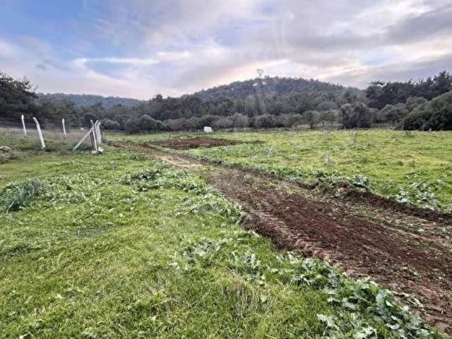 Eski Foça Ilıpınar'da Yatırımlık 165 m Tek Tapu Arsa