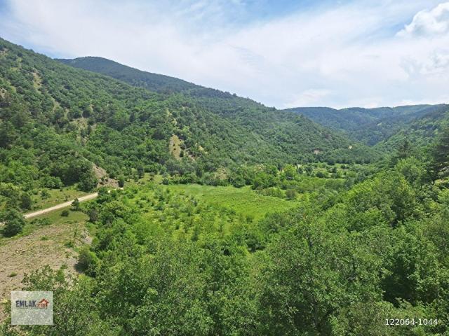 ESKİPAZAR DOĞANCILARDA 18.6 DÖNÜM SATILIK ARAZİ