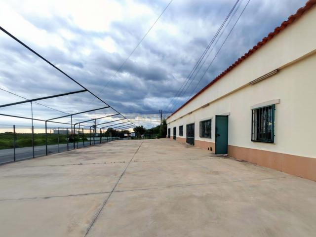 Espaço Comercial Amplo com Terraço e Área Exterior em Loulé