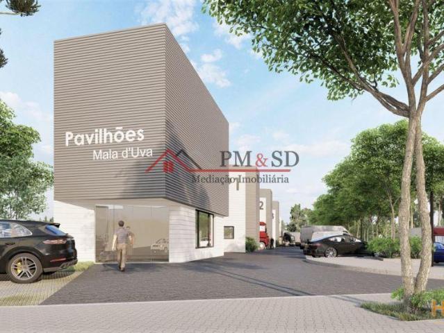 Espaço comercial com armazem em Regueira de Pontes, Leiria | 26084059677