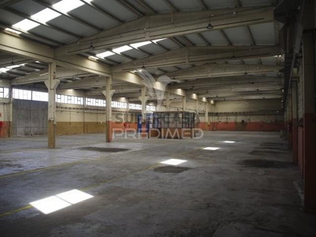 Espaço comercial em Barcarena