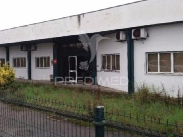 Espaço comercial em Pocariça