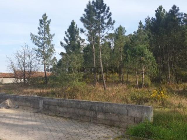 Espaçoso terreno para venda a 3 Km do centro de Oliveira do Bairro