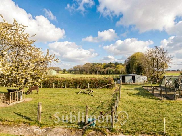 Maison 3 ch Grand terrain ENTIÈREMENT CLÔTURÉ 3797m²