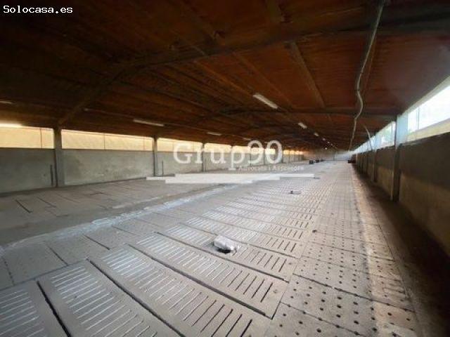 espacio industrial en Venta en Santa Barbara. GHDV T53