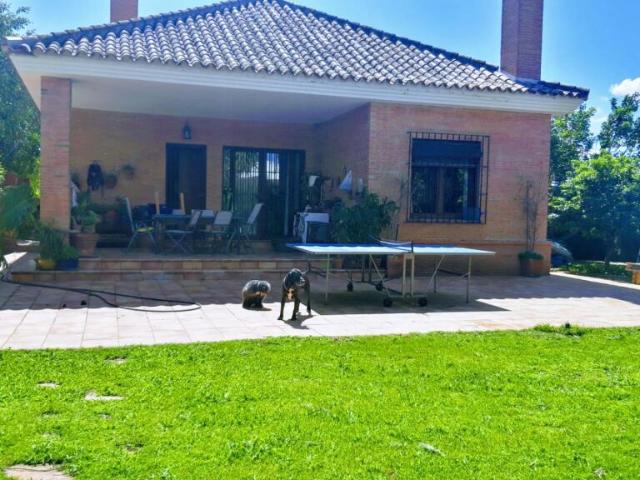 Espectacular chalet independiente de una planta en La Juliana!