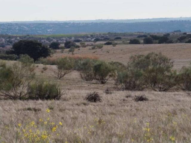 ESPECTACULAR FINCA A 41 km de Madrid