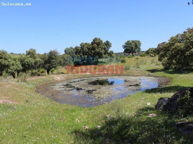 Espectacular Finca Ganadera y Cinegética de 103 ha con 1,5 km de Orilla al Río
