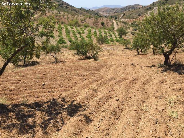 Espectacular Finca en Lorca con Vistas Impresionantes y Gran Potencial