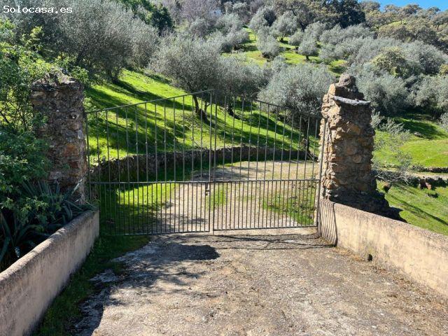 Espectacular finca en Zufre, a tan solo 300m del pueblo!