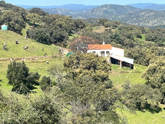Espectacular finca en Zufre, a tan solo 300m del pueblo!