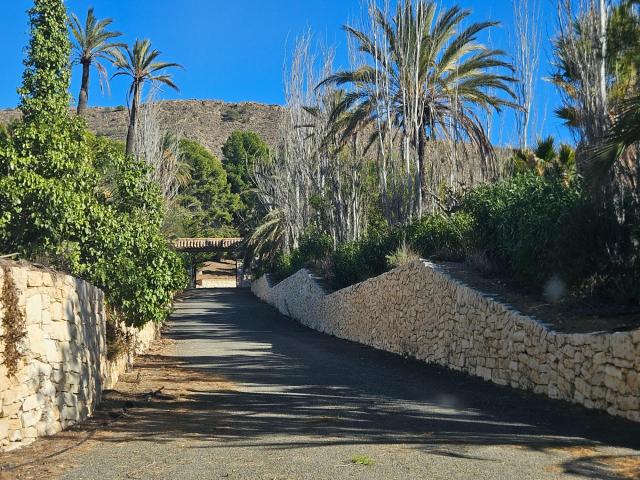 Espectacular Finca/Hotel con pinada de 50.000 m2