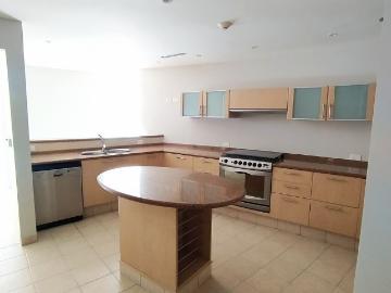 espectacular pent house en campos elíseos ev 23