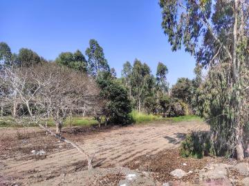 Espectacular Terreno 20,768 mt2 a U$55xM2, Bujama, Panamericana Sur 94.8 Km. Mala