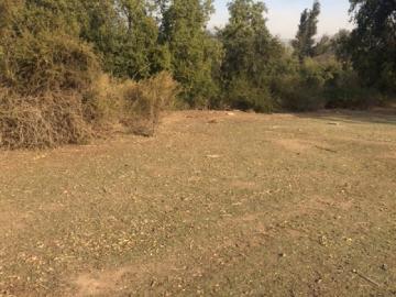 Espectacular terreno de 7,3 hás cerca de las vizcachas