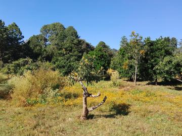 Espectacular Terreno Rustico Rural en las afueras de Valle de Bravo