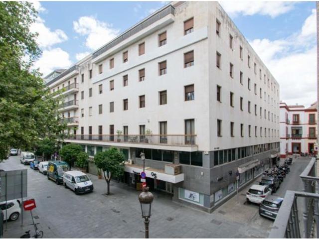 Espectacular vivienda de diseño junto al Ayuntamiento!