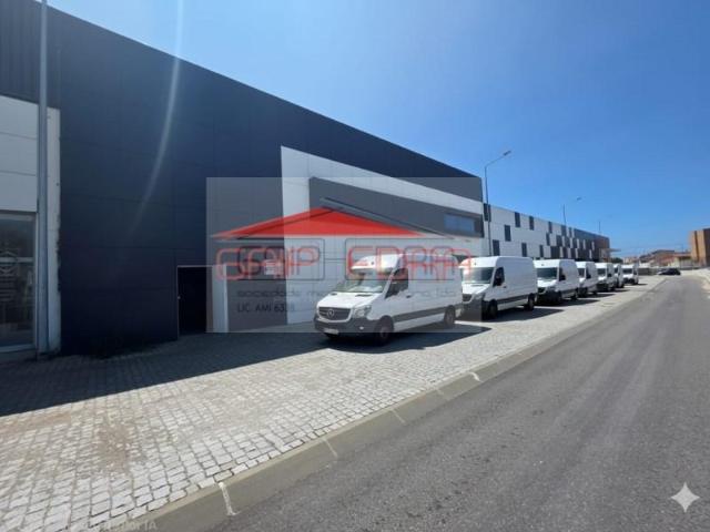 Espinho Espinho LS101890045
