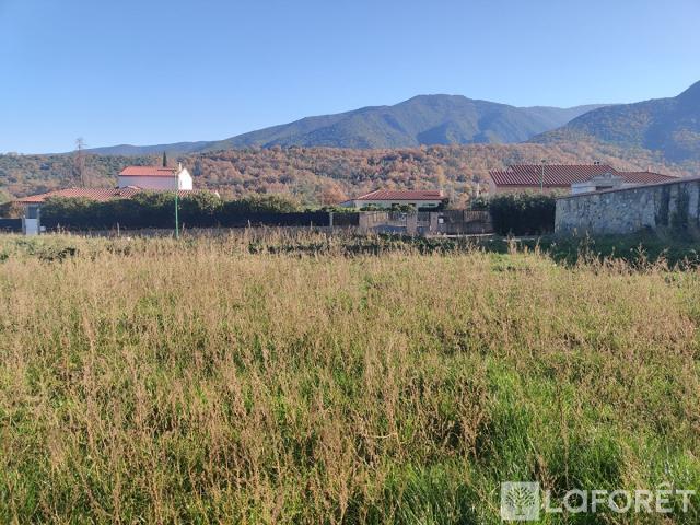 Espira de Conflent Vente Terrain 66