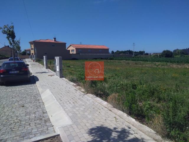 Esposende Braga 79804074