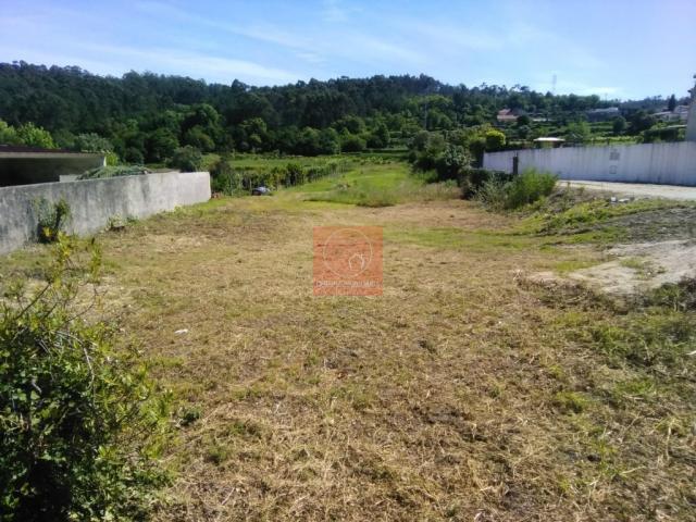 Esposende Braga 79804085