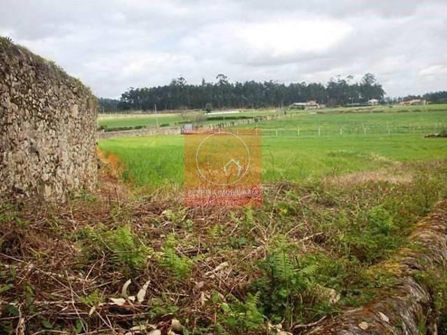 Esposende Braga 82978590