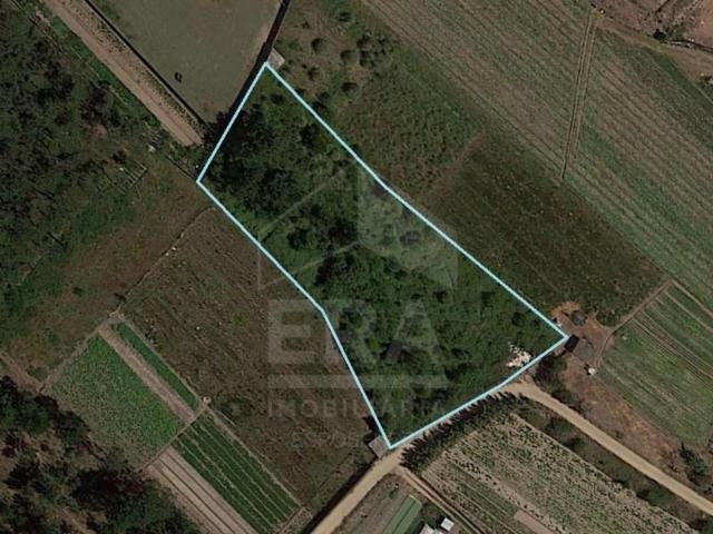Esposende Esposende LS99995362