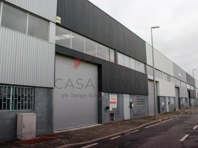 Esposende Esposende 100948195