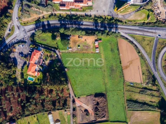 Esposende Esposende 102976118