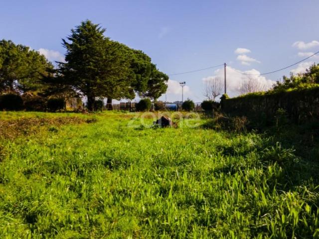 Esposende Esposende 104664306